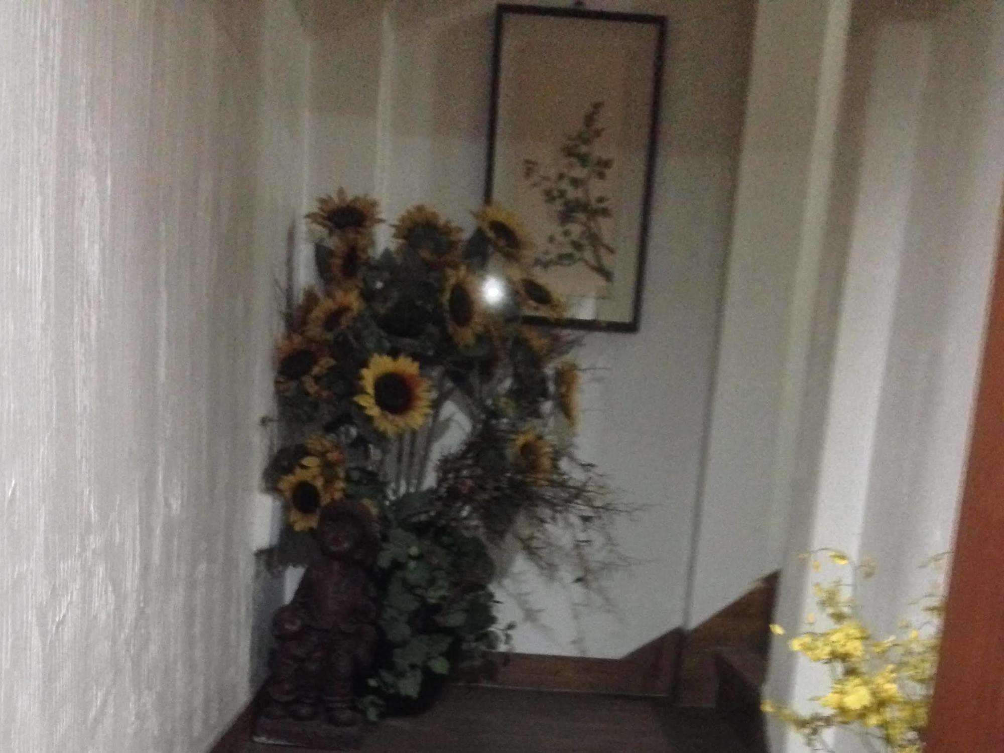 Daegu Goodstay Herotel Luaran gambar